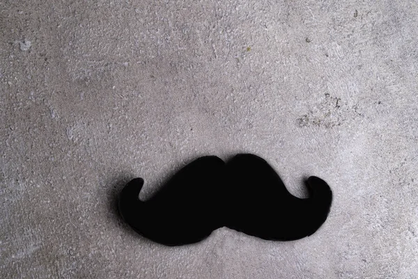 Bigode Preto Pau Isolado Fundo Cinza Dia Dos Homens Dia — Fotografia de Stock