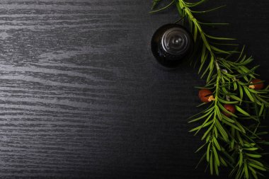 Çam esans ahşap arka plan üzerinde taze çam çırpı ile bir şişe