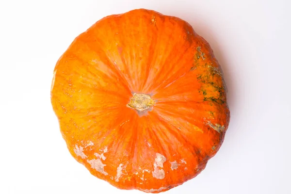 Calabaza Aislada Encuentra Frente Fondo Blanco — Foto de Stock