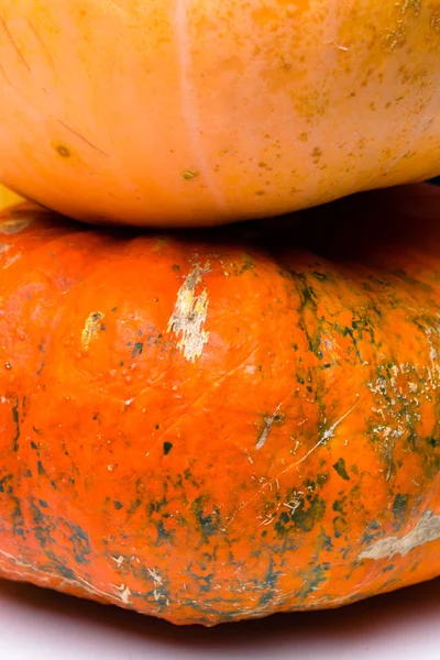 Par Calabazas Encuentra Frente Fondo Blanco — Foto de Stock