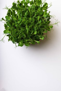 Toplu bezelye mikro yeşillik beyaz arka planda, yeme kavramı, fiber, kopya alanı sağlık