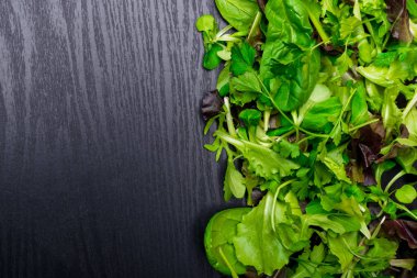 ham microgreens ıspanak, marul, maydanoz siyah ahşap zemin, kopya alanı üzerine ürün yelpazesine