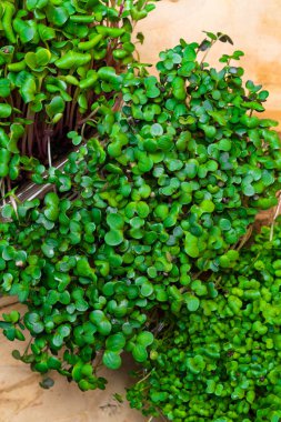 Bir mikroyeşil, genç bir sebze yeşilidir. Bir mikro yeşil veya plastik kutulardaki filizler, yüksek kaliteli organik bitki tohumlarından filizlenen çiğ canlı sebzelerdir. Fiber yüksek yeşiller