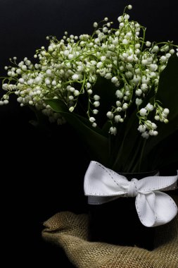 Taze bahar kokulu çiçekler lily vadi siyah bir arka plan. Parlak ve sulu arka plan hassas lily vadi çiçek. Lily siyah bir arka plan üzerinde olabilir. seçici odak