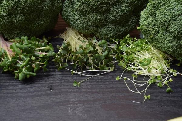 Mikro Zöldek Hajtások Elszigetelt Háttér Egészséges Táplálkozás Friss Biotermékekből Éttermi — Stock Fotó