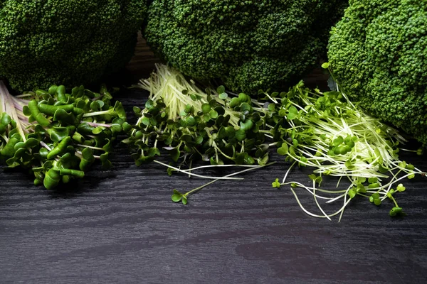 Micro greens sprouts isolated on wooden background. Healthy eating, fresh organic produce and restaurant concept. Top view on watercress, radish, arugula sprouts, fibre rich greens copy space