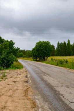 Köy yolunda bulutlu gün alanlar arasında görünümünü