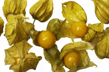 Beyaz arka plan üzerinde izole Physalis egzotik meyve