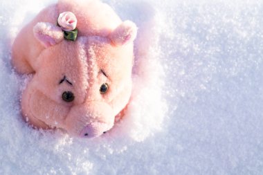 Oyuncak pembe çiçek beyaz kar üzerinde domuzla. Kopya alanı.