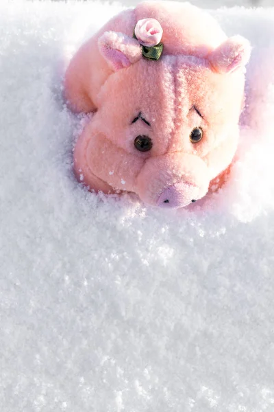 Toy pink pig with flower on white snow. Copy space.