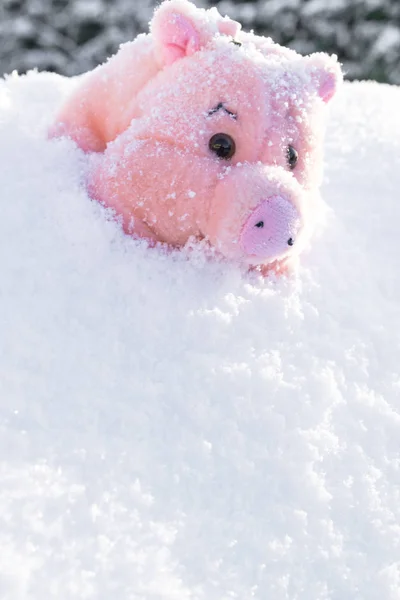 Toy pink pig with flower on white snow. Copy space.