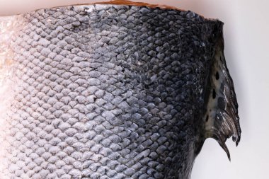 Somon Balık ölçekler grunge doku arka plan beyaz arka plan üzerinde