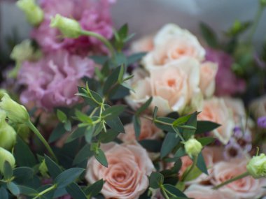 Yerel olarak hassas gül çiçek çiçek açması yaz çiçek şenlikli arka plan, pastel ve yumuşak buket çiçek kartı, mevsimlik, bokeh