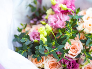 Gül gibi yumuşak çiçek ve yumuşak, pembe tonu ile bokeh tebrik veya düğün veya davet kartı arka plan seçici odak, kopya alanı için bulanık