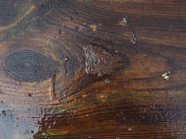 Permukaan Kayu Basah Latar Belakang Ruang Salinan Tekstur — Stok Foto