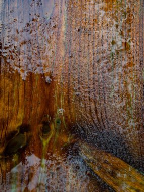 yansıması ile ıslak ahşap yüzeyde yağmur