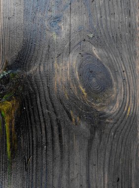 ahşap yol ve duvar, ahşap zemin yansıması ile yağmur ıslak