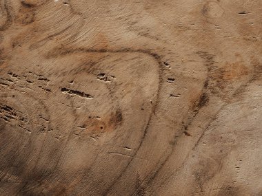 Masif ahşap dokusu. dokulu arka plan