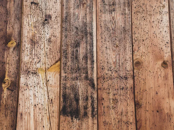 old rustic wood with mold or fungal on top background texture