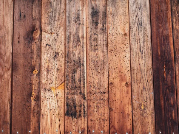 old rustic wood with mold or fungal on top background texture