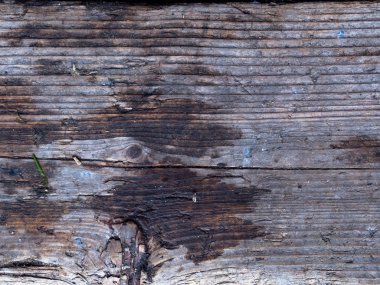 Vintage yüzey ahşap, rustik tahıl doku arka plan, kopya alanı