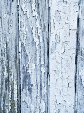 Eski yıpranmış ahır ahşap doku beyaz boyalı