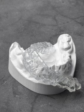 Alçı model ve gri arka plan şeffaf ısırık