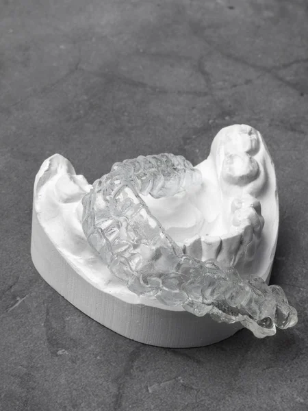 Alçı model ve gri arka plan şeffaf ısırık