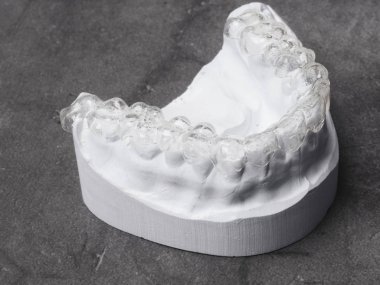 Alçı model ve gri arka plan şeffaf ısırık