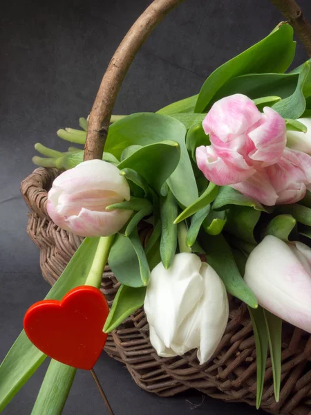 Las Flores Primaverales Los Tulipanes Rosados Sobre Fondo Gris Acercan —  Fotos de Stock