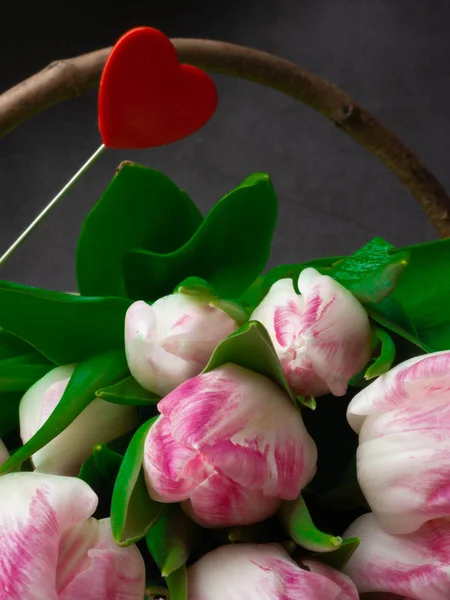 Tavaszi Tulipán Virágok Rózsaszín Szürke Háttéren Közelről Március Valentin Nap — Stock Fotó