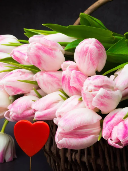 Tulipán Kosár Tavaszi Hello Nők Napja Március Húsvét Február Piros — Stock Fotó