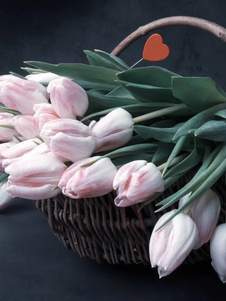 Tulipanes Primavera Cesta Madera Sobre Fondo Gris Feliz Día Las —  Fotos de Stock