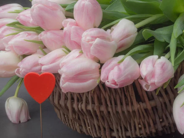 Tavaszi Tulipán Kosár Szürke Háttér Boldog Anyák Napja Romantikus Csendélet — Stock Fotó