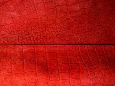 yıl 2019 ana modaya uygun mercan rengi. Renkli kavramı.