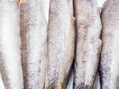 hake balık dondurulmuş gıda arka plan olarak