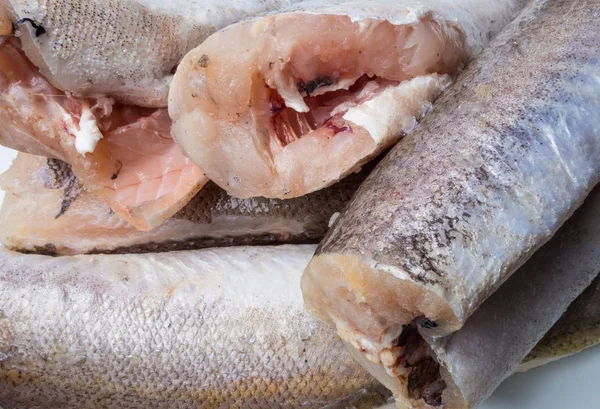 Fryst kummel fisk som mat bakgrund — Stockfoto