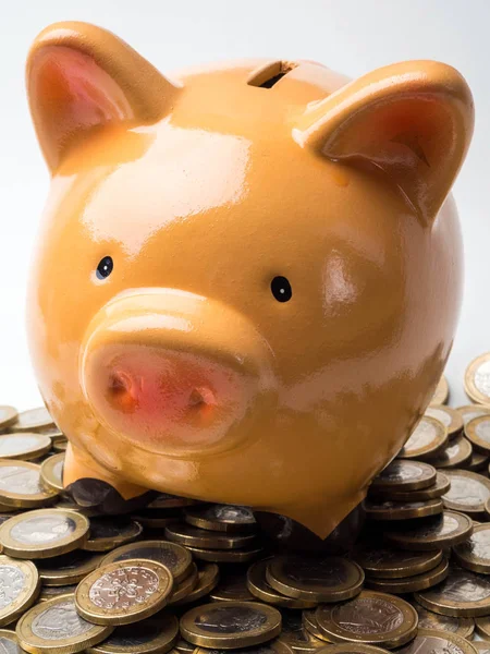 Pig bank and coins, a saving money for future investment concept.