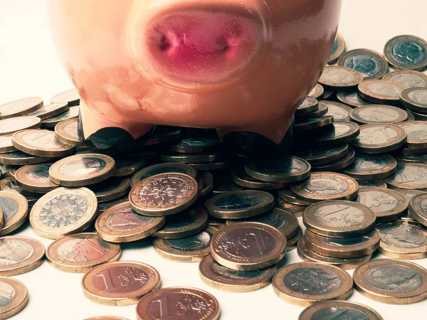Pig bank and coins, a saving money for future investment concept.
