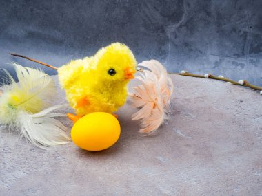 küçük eğlenceli Paskalya yumurtası, willow ile piliç