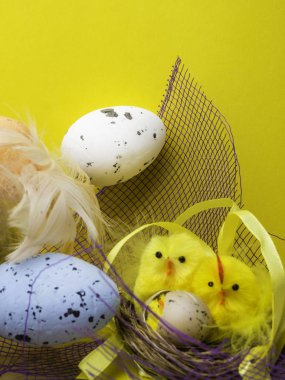 sarı arka planda izole Paskalya yumurtaları ve sarı tavuklar