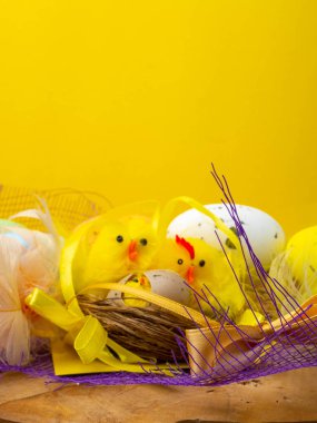 Paskalya kompozisyon, renkli yumurta, yuva tavuk, renk tüy