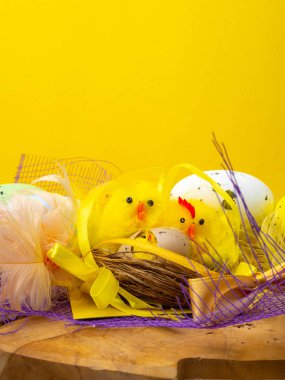 Paskalya kompozisyon, renkli yumurta, yuva tavuk, renk tüy
