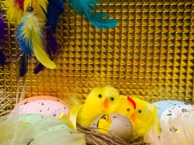 Paskalya kompozisyon, renkli yumurta, yuva tavuk, renk tüy