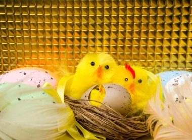 Paskalya kompozisyon, renkli yumurta, yuva tavuk, renk tüy