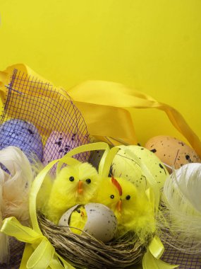 Paskalya kompozisyon, renkli yumurta, yuva tavuk, renk tüy