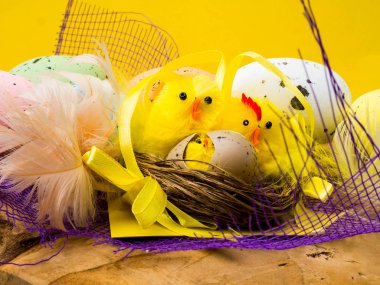 Paskalya kompozisyon, renkli yumurta, yuva tavuk, renk tüy