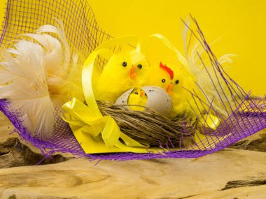 ahşap arka planda Paskalya tavuk yuvası