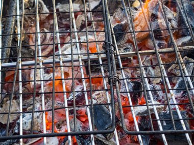 ızgara sıcak kömürler, açık rekreasyon, kömürler yangın. Şiş kebabı için ateş hazırlığı. Piknik.