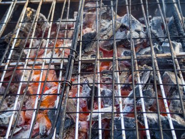 ızgara sıcak kömürler, açık rekreasyon, kömürler yangın. Şiş kebabı için ateş hazırlığı. Piknik.